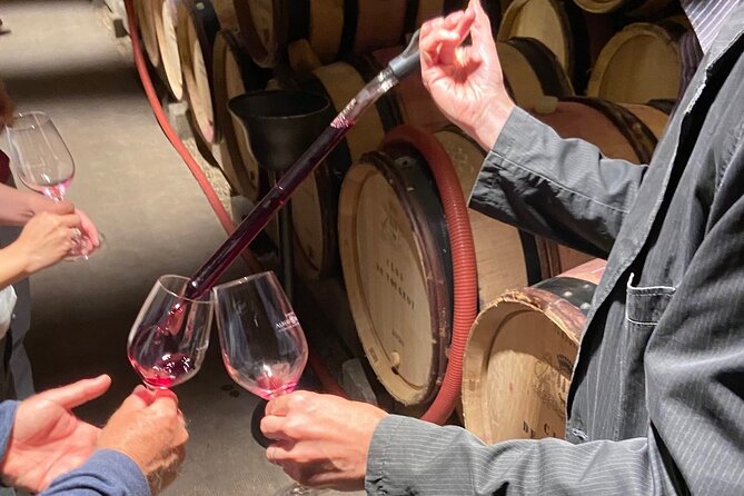 Small Group Wine Tasting Tour Côte de Beaune and Côte de Nuits - Meet Independent Winemakers in Santenay