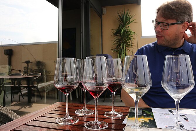 Small Group Wine Tour in Sumadija Wine Region - Return to Belgrade and Tour Inclusions