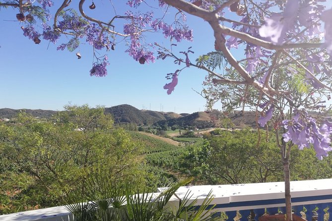 Small-Group Wine Tour & Silves Exploration (from Albufeira) - What Makes This Tour Stand Out