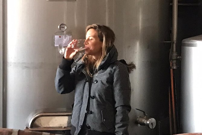 Small-Group Wine Tour & Silves Exploration (from Albufeira) - Small-Group Wine Tour & Silves Exploration (from Albufeira): An Authentic Algarve Experience