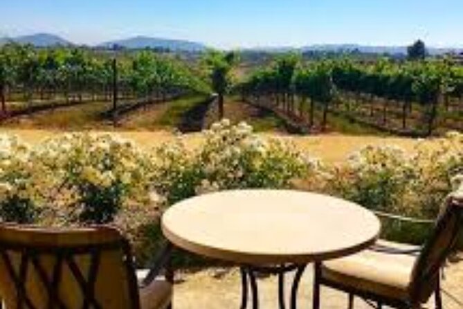 Small Group Wine Tour to Temecula from Los Angeles - Pickup and Transportation from Los Angeles