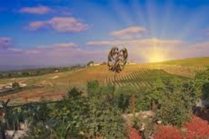 Small Group Wine Tour to Temecula from Los Angeles - Return to Los Angeles