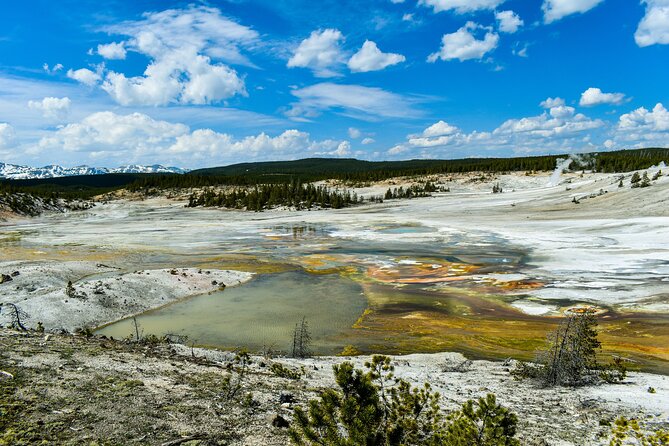 Small Group Yellowstone&Grand Teton 4-Day Tour w/2 Night Cabins - Iconic Geothermal Features and Old Faithful