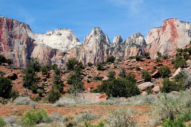 Small-Group Zion National Park Day Tour from Las Vegas - Exploring Zion’s Floor of the Valley Road