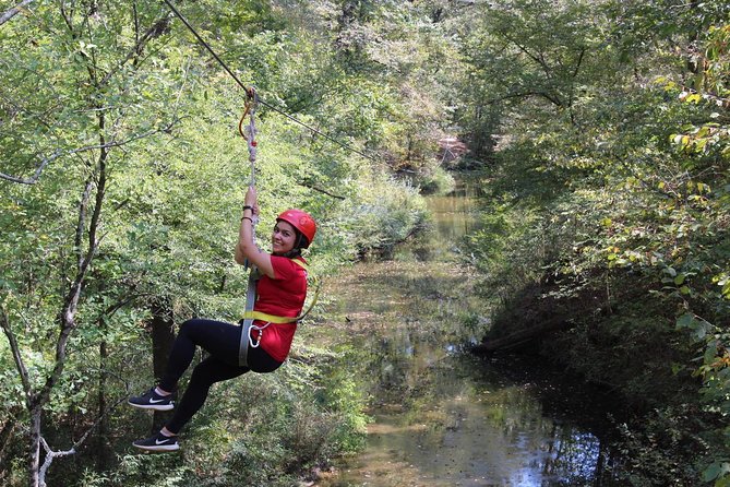 Small-Group Zipline Tour in Hot Springs - Exciting Small-Group Zipline Tour in Hot Springs for $89