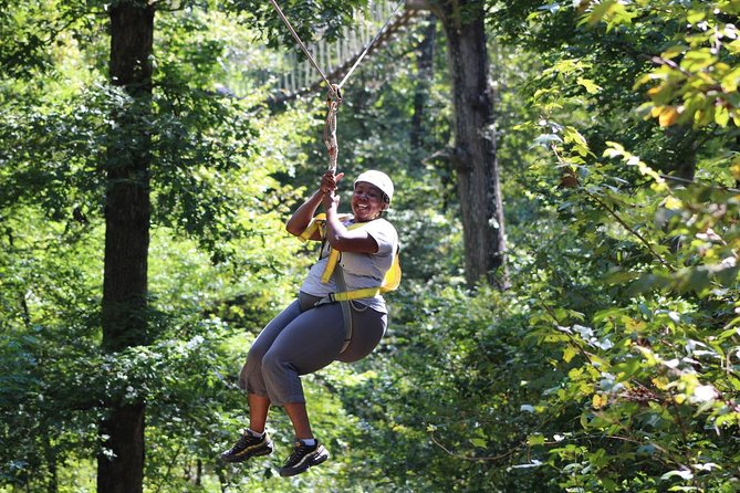 Small-Group Zipline Tour in Hot Springs - Meeting Point and Overall Logistics in Hot Springs