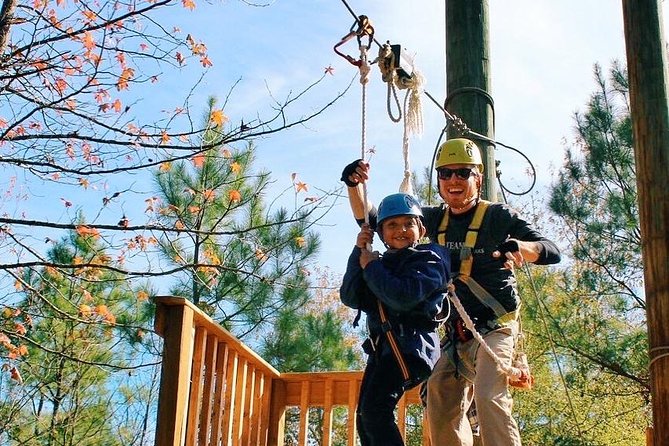 Small-Group Zipline Tour in Hot Springs - Pricing and Value for Money