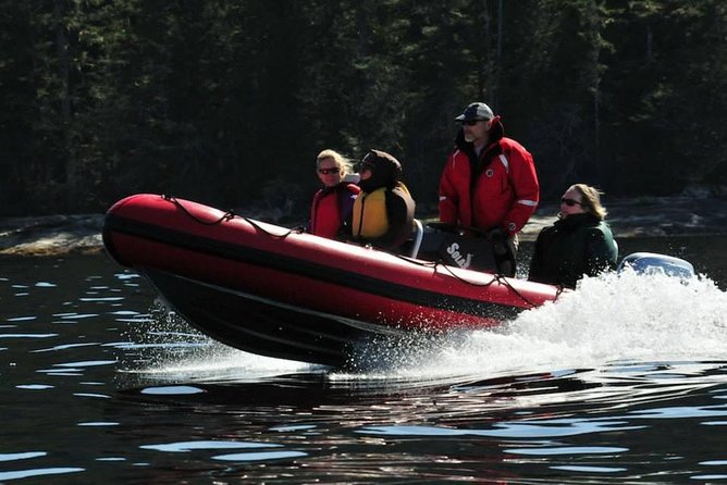 Small-Group Zodiac Wilderness Adventure from Ketchikan - Explore Alaska’s Wildlife on a Small-Group Zodiac Adventure in Ketchikan