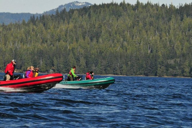 Small-Group Zodiac Wilderness Adventure from Ketchikan - Physical Requirements and Safety Considerations