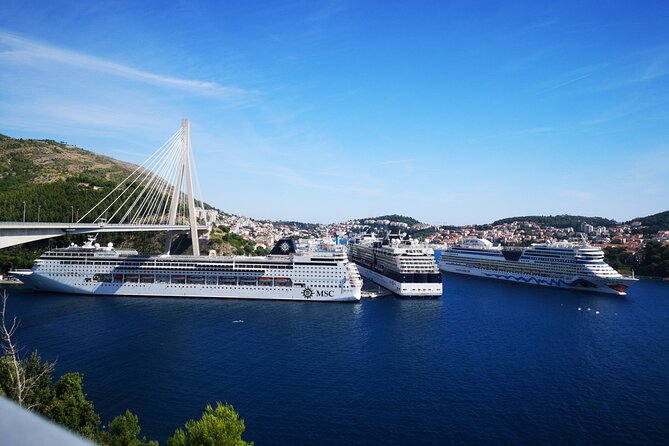 Small grup Highlights of Dubrovnik Panorama Tour - Logistics and Meeting Point Convenience