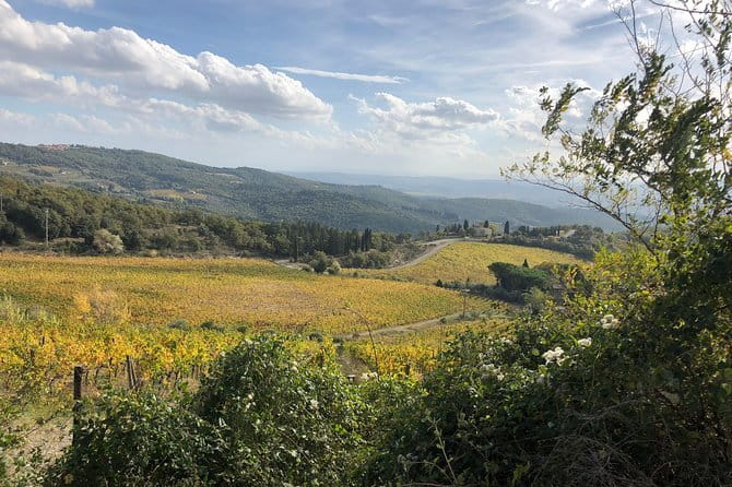 Small Intimate Group: San Gimignano - Two Wine Tours with lunch - Key Points