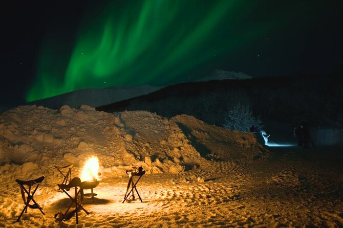 Small Northern Lights Tour Max8 Guests PRO Photographer included - The Booking and Cancellation Policy