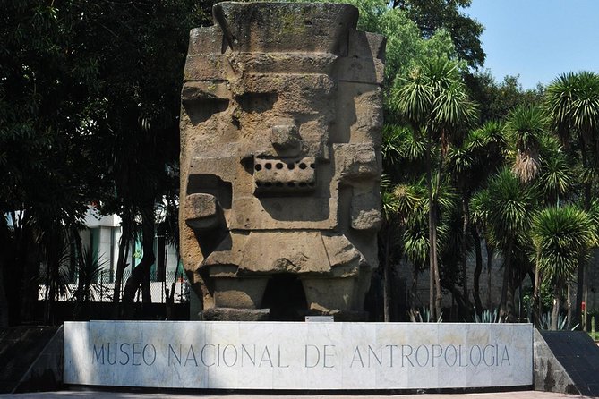 Small VIP Group: The Ultimate Mexico City Tour - Limitations and Real-World Feedback