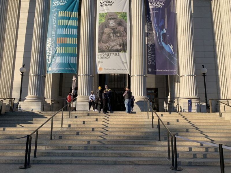 Smithsonian National Museum of Natural History Guided Tour - Highlights of the Museum’s Key Exhibits