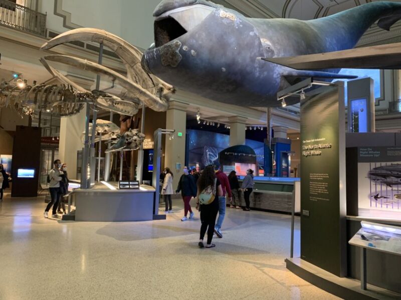 Smithsonian National Museum of Natural History Guided Tour - Why Choose This Guided Tour Over Self-Guided Visits