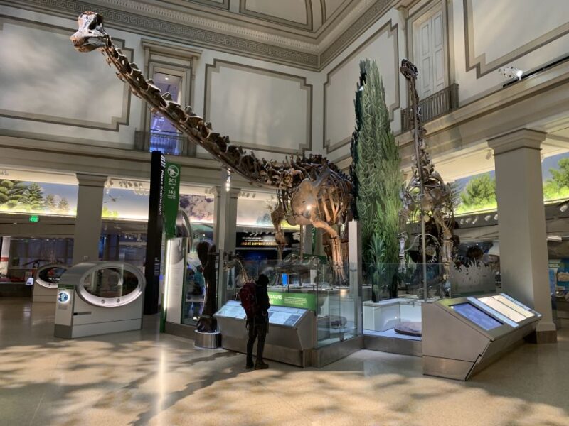 Smithsonian National Museum of Natural History Guided Tour - Who Will Benefit Most From This Tour?