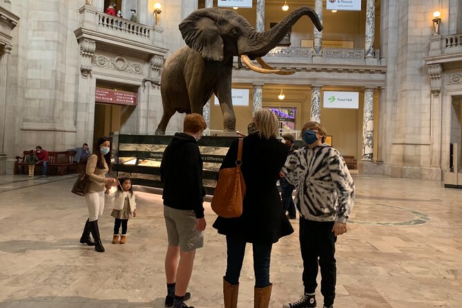 Smithsonian National Museum of Natural History with Guided Tour - The Experience from the Guide’s Perspective