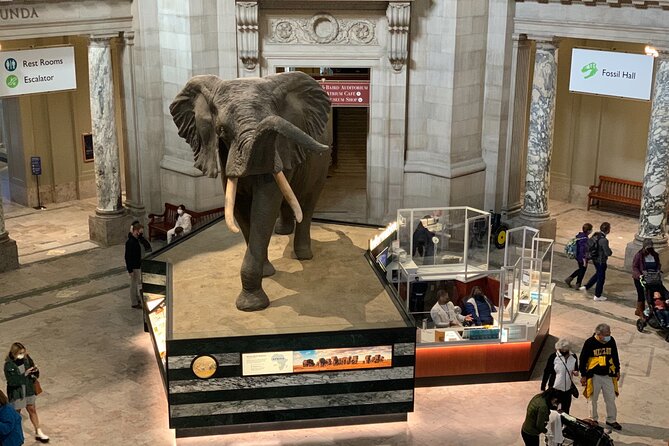 Smithsonian National Museum of Natural History with Guided Tour - Final Thoughts on the Smithsonian Natural History Guided Tour