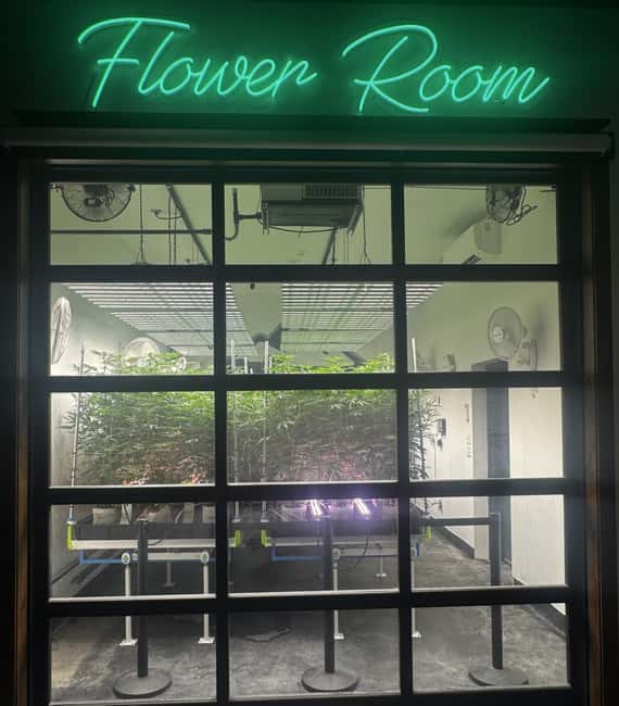 Smoky Mountain Cannabis THC Dispensary Tour & Jeep Adventure - Discover the Smoky Mountain Cannabis THC Dispensary Tour & Jeep Adventure