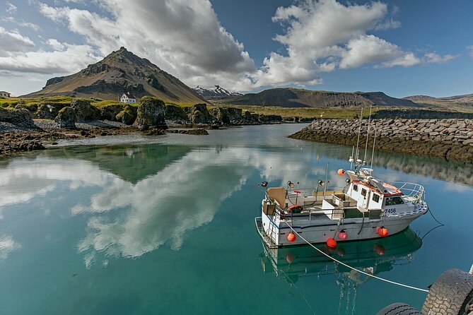 Snaefellsnes Peninsula Tour from Grundarfjordur Port - The Charm of Arnarstapi’s Coastal Village