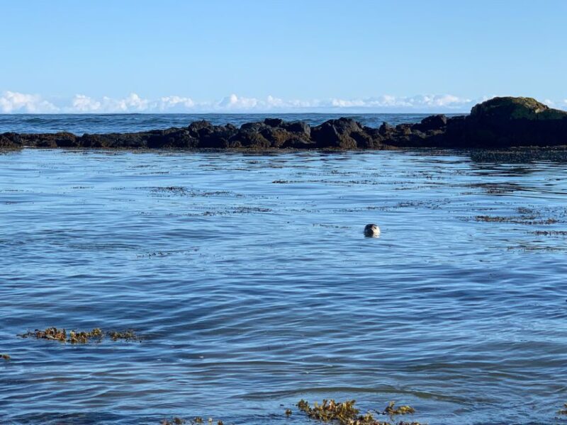 Snæfellsnes, private Super Jeep - Visiting Buðir and the Historic Trading Post Ruins