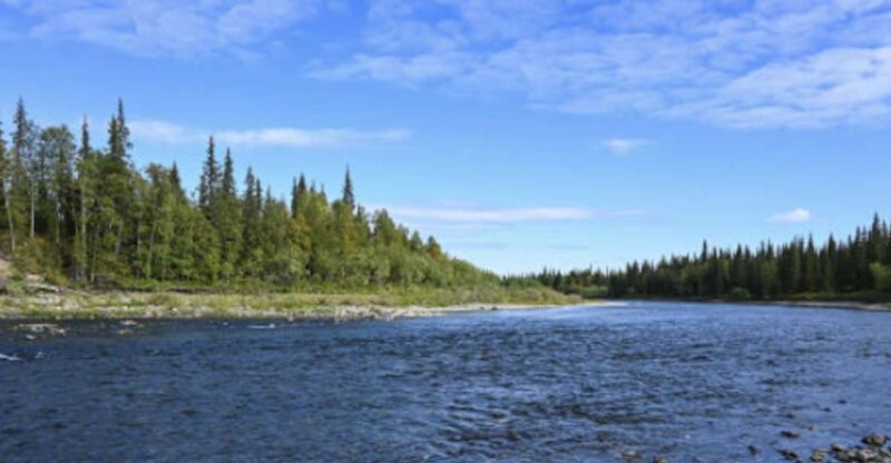 Snake River Full-Day Group Fishing Trip - Who Will Enjoy This Full-Day Trip?