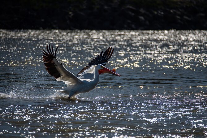 Snake River Scenic Float - Wildlife Sightings and Seasonal Beauty