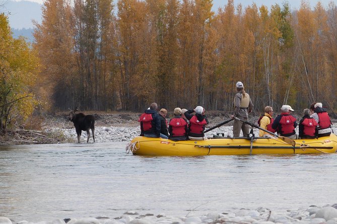 Snake River Scenic Float Trip with Teton Views in Jackson Hole - Who Should Book This Float Trip?