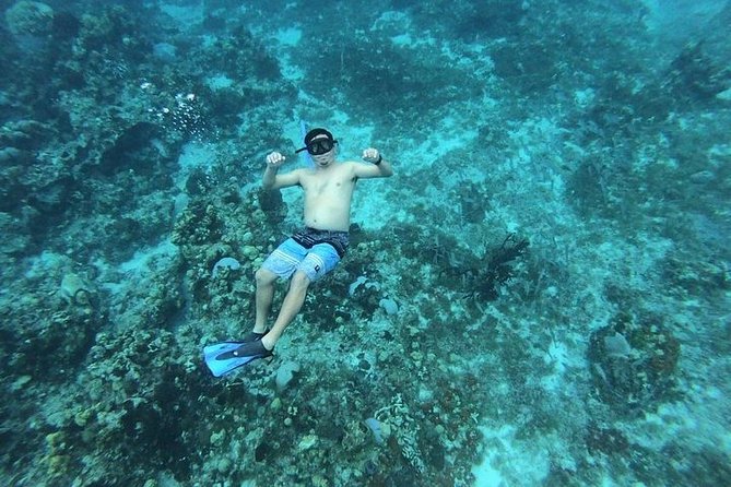 Snorkel Adventure at Cozumel! Transportation from Cancun & Playa Del Carmen - Highlights of the Cozumel Marine Park Visit