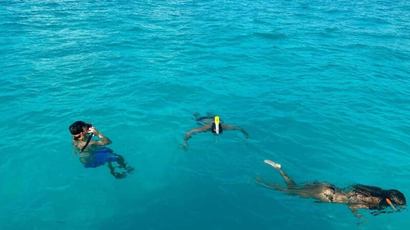 Snorkel Adventure for All Ages in Cancun 2.5 hrs - What is Included and What to Bring