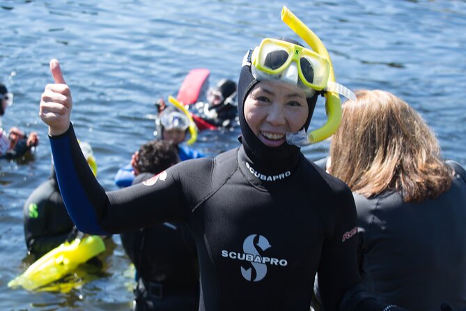 Snorkel Alaska - The Underwater Highlights of the Ketchikan Snorkeling Tour