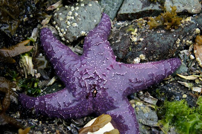 Snorkel Alaska - The Guides and Their Role in Making the Tour Special