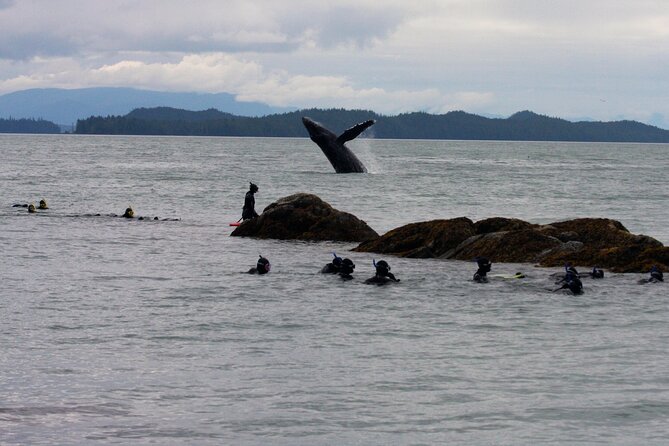 Snorkel Alaska - Why This Tour Stands Out from Others