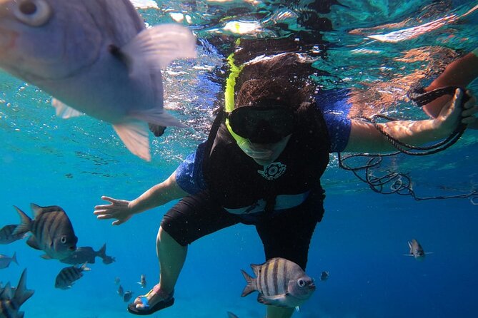 Snorkel along the coast, explore two reefs by Chivis del Mar - Group Size and Booking in Advance