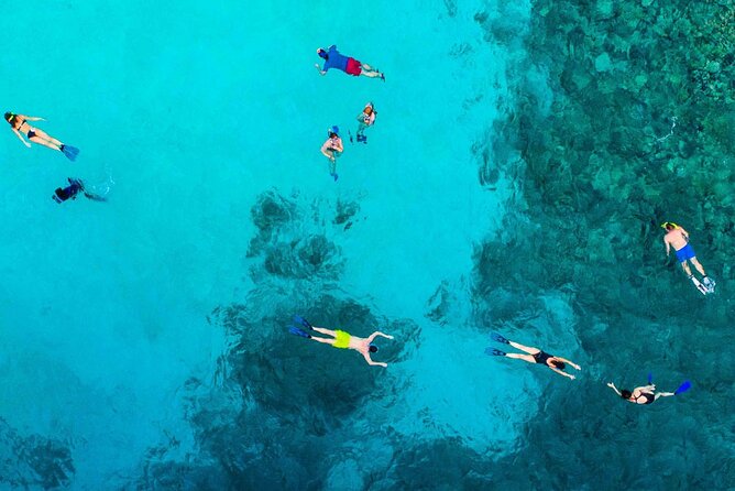 Snorkel and arch tour in los cabos - Logistics and Group Size