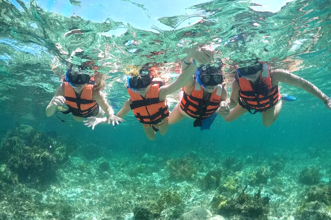 Snorkel and catamaran to Isla Mujeres - Logistics and Group Size Expectations