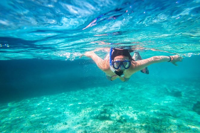Snorkel and swim in Cozumel el Cielo Reef, Palancar and Colombia - Pickup and Transportation from Cancun to Cozumel
