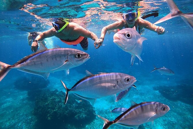 Snorkel at El Cielo in Cozumel with 2 more Reefs with Round Trip - Discover the Exciting Day Trip to Isla Mujeres from Playa del Carmen