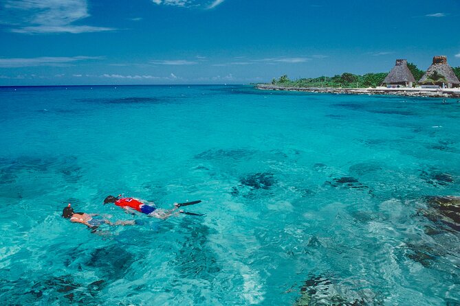Snorkel at El Cielo in Cozumel with 2 more Reefs with Round Trip - The Island of Cozumel and Cielito Beach Break