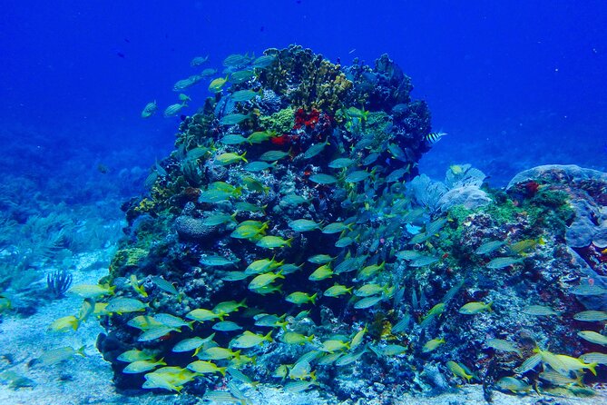 Snorkel at El Farito - The Lighthouse Reservation - Final Thoughts on the El Farito Snorkel Tour