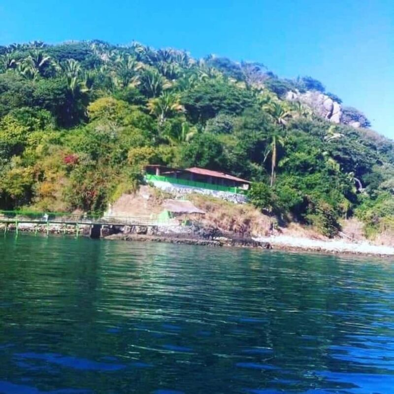 Snorkel at Playa del Toro, leaving from Sayulita: a day at the beach - Who Should Consider This Tour