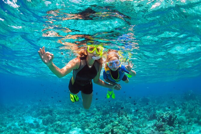 Snorkel at the beautiful Puerto Morelos Reef, Lunch & transport - Practical Details: What’s Included and What’s Not