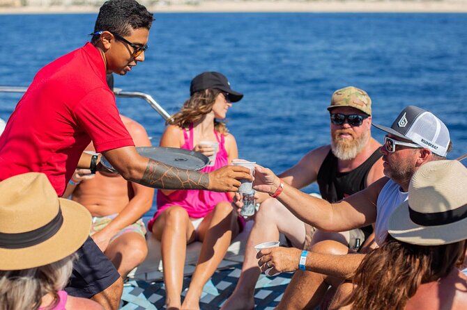 Snorkel Cruise in Los Cabos - Sightseeing and Wildlife: Whales and Sea Lions