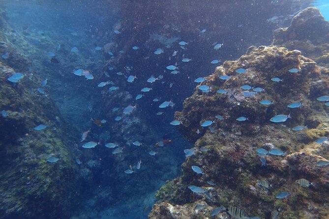 Snorkel Experience in Lanzarote - Weather Conditions and Cancellation Policy