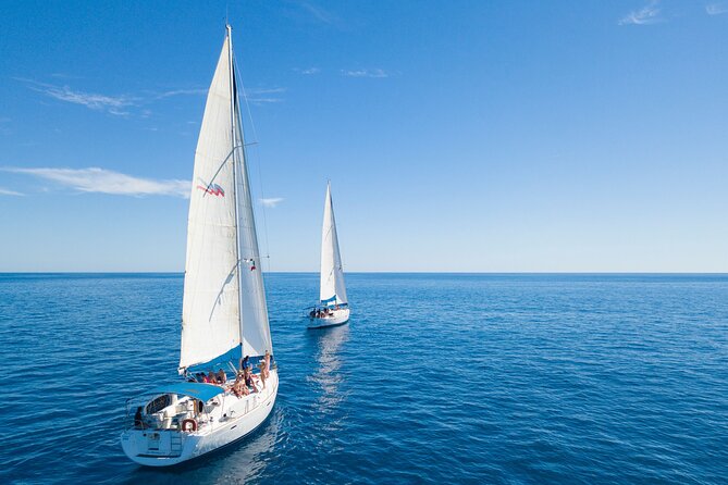 Snorkel in Luxury Sailing Boat + Food and Premium drink! - Food and Drinks: Gourmet Lunch and Unlimited Premium Bar