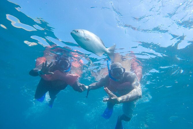 Snorkel in Luxury Sailing Boat + Food and Premium drink! - The Crew and Service Quality