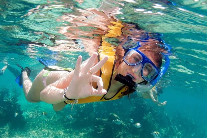 Snorkel in the turquoise Caribbean Sea in Puerto Morelos. Transport included - Lunch at a Private Beach Club: Relaxing by the Caribbean