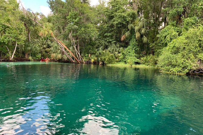 Snorkel Or Dive The Amazing Rainbow River Florida - Equipment and Additional Costs