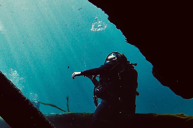 Snorkel Or Dive The Amazing Rainbow River Florida - Safety and Cancellation Policies