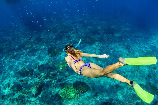 Snorkel & Parasail from Cancun - Cancun Parasailing and Snorkeling: Is It Worth It?